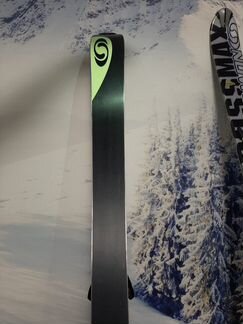 Горные лыжи