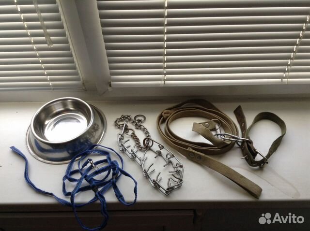 Поводки и ошейники для собак