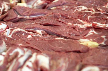 Корм для собак