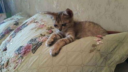 Покрывало на двуспальную кровать