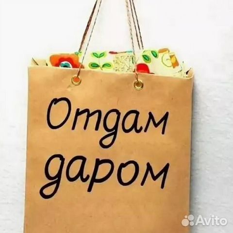 Бесплатно, фрукты, овощи на корм животным