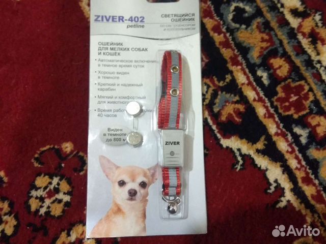 Ошейник светящийся