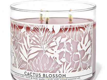 wisdom candle bath and body works