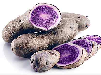 Фиолетовый картофель Конго семенной, 10 клубней