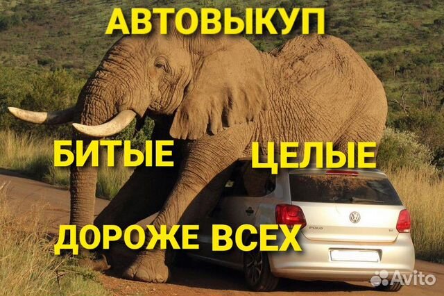 Автовыкуп целые битые после дтп выкуп авто