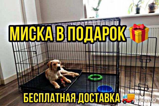 Клетка для собак