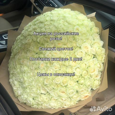 Розы Цветы Доставка 25 51 151 201 101 301 501 опт