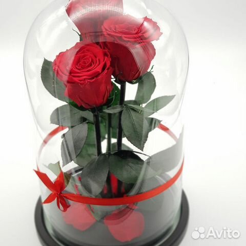 Роза в колбе trio