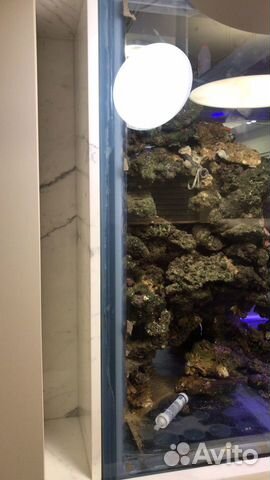 Аквариум, ремонт