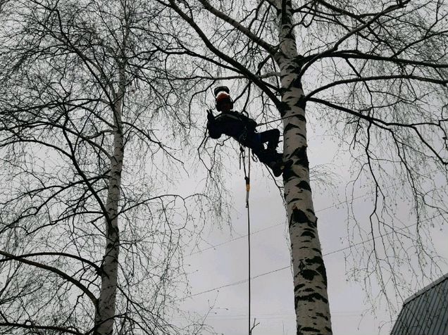 Спив в самаре
