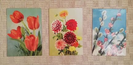 Чистые открытки гдр и СССР