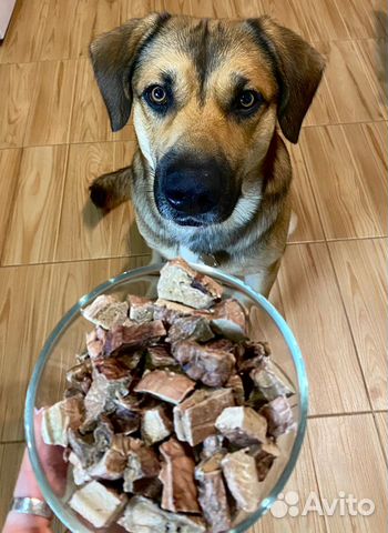 Говяжье легкое/Корм для собак/Лакомства