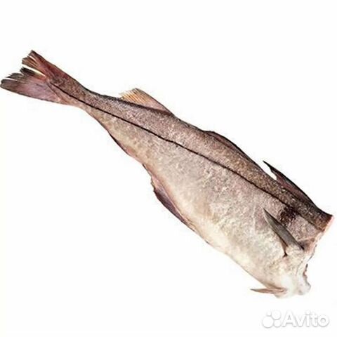 Рыба Пикша свежемороженая