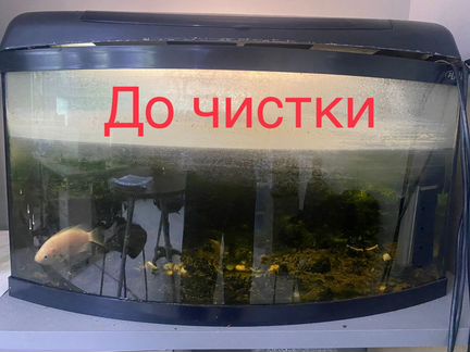 Чистка Аквариума выезд на дом, в офис