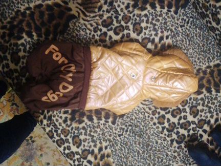 Зимняя куртка для собак