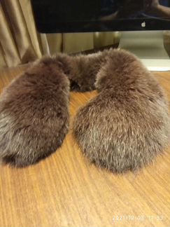 Меховой воротник песец