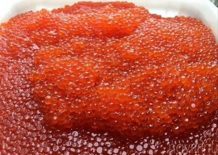 Красная икра