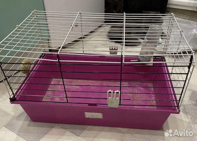 Клетка для крупных грызунов