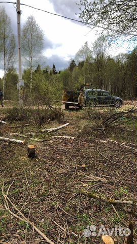 Расчистка участков,удаление деревьев,покос травы