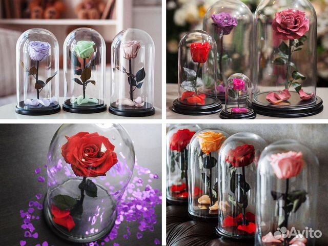 Роза в колбе Премиум Большой выбор