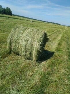 Принимаю заявки на сено, солома