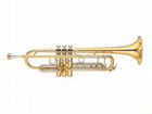 Boston tromba TR-1L - труба Bb