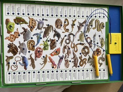 Игра conector Животный мир от Educa