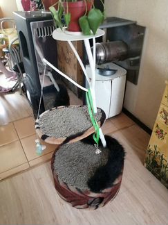 Лежанка для кота