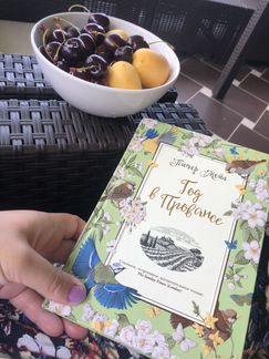 Книга Год в Провансе
