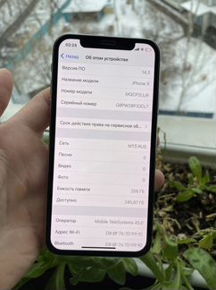 iPhone X 256