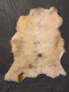 Шкура овечья