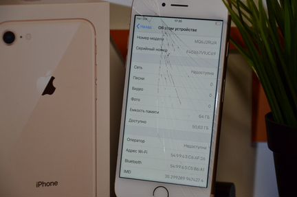 iPhone 8 64Gb Рст Оригинал