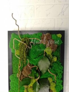 Фитокартина