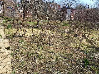 Снт виноград новочеркасск карта