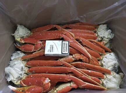 Конечности краба стригуна