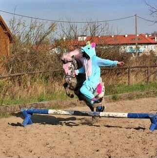 Кигуруми Голубой Единорог