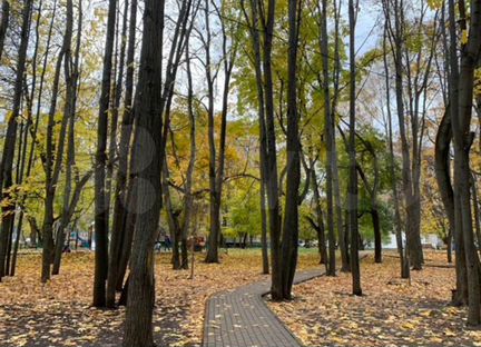 Квартира-студия, 18.5 м², 1/5 эт.