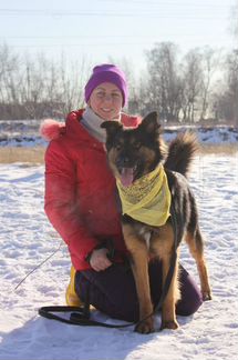 Метис овчарки. Дени