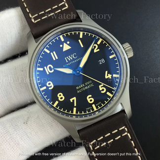 Часы IWC Mark 18 IW327006 Titanium