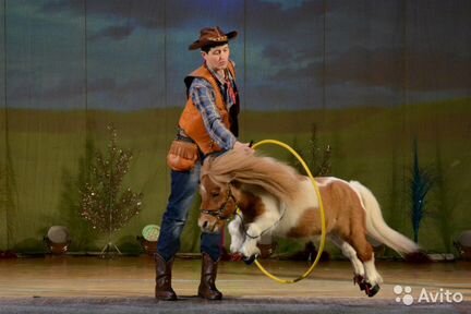 Дрессированные животные на Ваш праздник