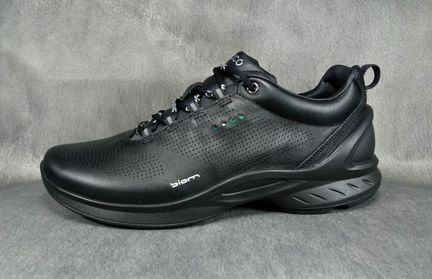 Ecco biom