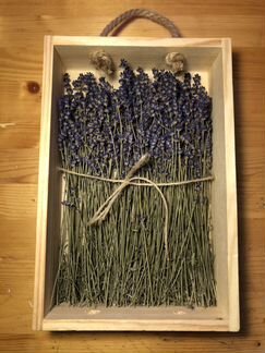 Высушенная лаванда