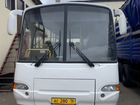 Городской автобус ПАЗ 4230 Аврора