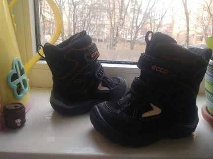 Зимние сапоги ecco