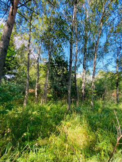 Дача 177 м² на участке 21 сот.