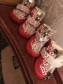 Ботиночки для собаки